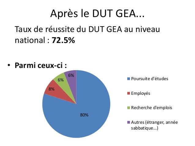 Présentation dut gea