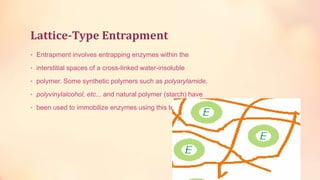  Enzymes