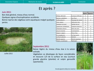 Association Espaces       Réalisation de mares       La mare en argile                            Conclusion



                                            Et après ?
Juin 2011
                                                                                                             Planté   Observé
Bon état général, niveau d’eau normal.                        Althaea officinalis      Guimauve officinale      X        x
Quelques signes d’eutrophisation accélérée.                   Butomus umbellatus       Jonc fleuri              X
Bonne reprise des végétaux semi-aquatiques malgré quelques    Caltha palustris         Populage des marais      X        X

pertes.                                                       Carex riparia            Laîche des rives         X

                                                              Epilobium hirsutum       Epilobe hérissé          X

                                                              Eupatorium cannabinum    Eupatoire chanvrine      X        X

                                                              Filipendula ulmaria      Reine des prés           X        X

                                                              Glyceria maxima          Grand glycérie           X        X

                                                              Hippuris vulgaris        Pesse d’eau              X        X

                                                              Iris pseudacorus         Iris faux-acore          X        X
                                                              Lythrum salicaria        Salicaire                X        X

                                                              Mentha aquatica          Menthe aquatique         X
                                                              Phalaris arundinacea     Baldingère               X




                                   Septembre 2011
                                   Baisse légère du niveau d’eau due à la saison
                                   estivale.
  Juillet 2011                     Végétation se développe de façon considérable
                                   et recouvre 1/3 de la surface en eau (surtout
                                   grande glycérie (plantée) et vulpin genouillé
                                   (spontané)).


                                                             Grande glycérie (Glyceria maxima)
 