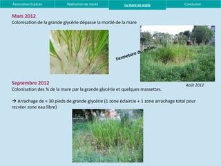 Association Espaces        Réalisation de mares         La mare en argile             Conclusion


Mars 2012
Colonisation de la grande glycérie dépasse la moitié de la mare




Septembre 2012                                                                         Août 2012
Colonisation des ¾ de la mare par la grande glycérie et quelques massettes.

 Arrachage de ≈ 30 pieds de grande glycérie (1 zone éclaircie + 1 zone arrachage total pour
recréer zone eau libre)
 
