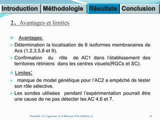 2. Avantages et limites
 Avantages:
 Détermination la localisation de 6 isoformes membranaires de
Acs (1,2,3,5,8 et 9).
 Confirmation du rôle de AC1 dans l’établissement des
territoires rétiniens dans les centres visuels(RGCs et SC).
 Limites:
 manque de model génétique pour l’AC2 a empêché de tester
son rôle sélective.
 Les sondes utilisées pendant l’expérimentation pourrait être
une cause de ne pas détecter les AC 4,6 et 7.
16Eloualidi , H ; Lguensat ,A et Mnaouer N et Achbani ,A
 