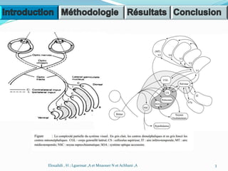 3Eloualidi , H ; Lguensat ,A et Mnaouer N et Achbani ,A
 