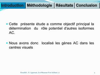  Cette présente étude a comme objectif principal la
détermination du rôle potentiel d'autres isoformes
AC.
 Nous avons donc localisé les gènes AC dans les
centres visuels
5Eloualidi , H ; Lguensat ,A et Mnaouer N et Achbani ,A
 
