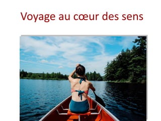 Voyage au cœur des sens
 