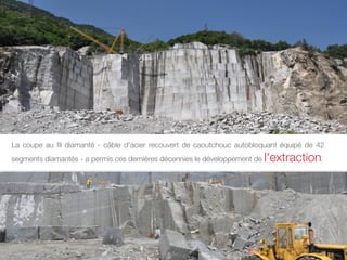 La coupe au ﬁl diamanté - câble d'acier recouvert de caoutchouc autobloquant équipé de 42
segments diamantés - a permis ces dernières décennies le développement de   l'extraction.
 