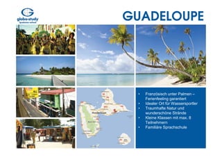 GUADELOUPE




 •   Französisch unter Palmen –
     Ferienfeeling garantiert
 •   Idealer Ort für Wassersportler
 •   Traumhafte Natur und
     wunderschöne Strände
 •   Kleine Klassen mit max. 8
     Teilnehmern
 •   Familiäre Sprachschule
 