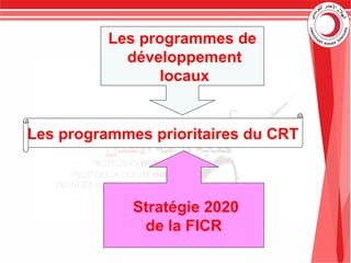 Stratégie 2020
de la FICR
Les programmes de
développement
locaux
Les programmes prioritaires du CRT
 