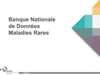 Banque Nationale
de Données
Maladies Rares

1
bndmr.fr

 