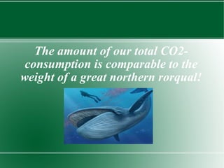 The amount of our total CO2- consumption is comparable to the weight of a great northern rorqual! 