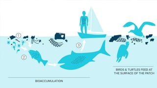 Great Pacific Garbage Patch | PPTX