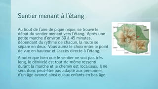 Sentier menant à l’étang
Au bout de l’aire de pique nique, se trouve le
début du sentier menant vers l’étang. Après une
petite marche d’environ 30 à 45 minutes,
dépendant du rythme de chacun, la route se
sépare en deux. Vous aurez le choix entre le point
de vue en hauteur et l’accès directe à l’étang.
A noter que bien que le sentier ne soit pas très
long, le dénivelé est tout-de-même ressenti
durant la marche et le chemin est rocailleux. Il ne
sera donc peut-être pas adapté aux personnes
d’un âge avancé ainsi qu’aux enfants en bas âge.
 