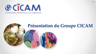 Présentation du Groupe CICAM
V1.0
 