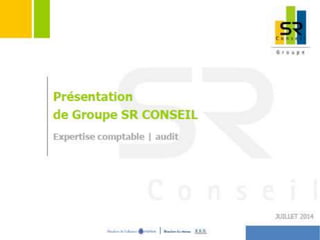 Présentation groupe SR Conseil 2014