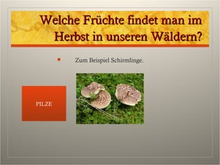Welche Früchte findet man imWelche Früchte findet man im
Herbst in unseren Wäldern?Herbst in unseren Wäldern?
 Zum Beispiel Schirmlinge.
PILZE
 