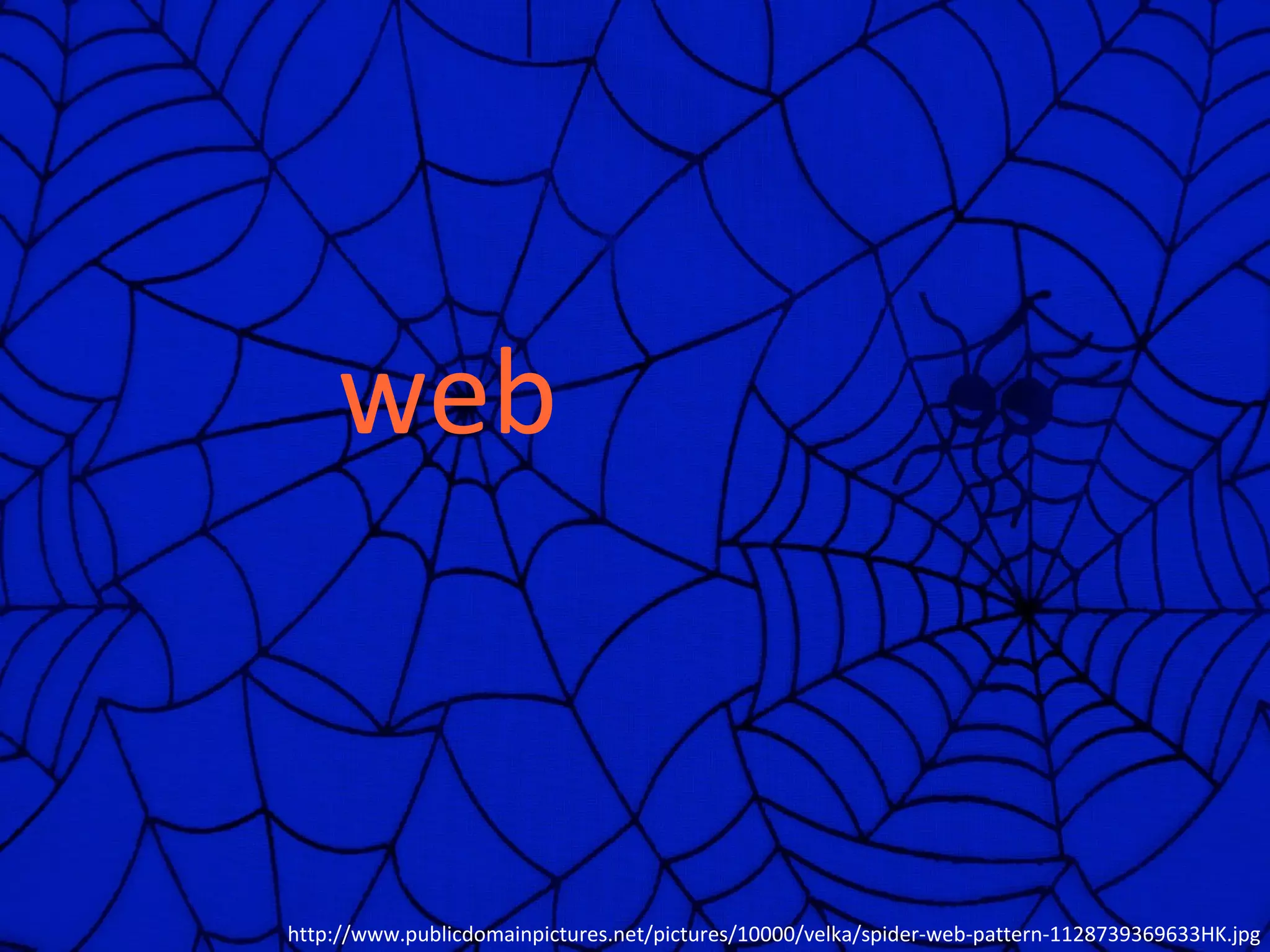 web



http://www.publicdomainpictures.net/pictures/10000/velka/spider-web-pattern-1128739369633HK.jpg
 