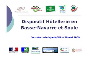 Dispositif Hôtellerie en
Basse-Navarre et Soule

    Journée technique MOPA – 28 mai 2009
 