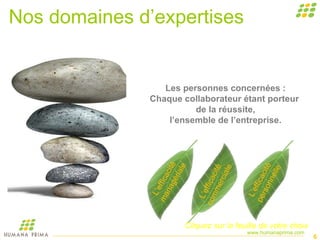 Nos domaines d’expertises L’efficacité  managériale L’efficacité  commerciale L’efficacité  personnelle Cliquez sur la feuille de votre choix Les personnes concernées : Chaque collaborateur étant porteur  de la réussite, l’ensemble de l’entreprise. 