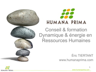 Conseil & formation Dynamique & énergie en  Ressources Humaines Éric TIERTANT www.humanaprima.com 