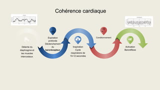 Cohérence cardiaque
Détente du
diaphragme et
les muscles
intercostaux.
-
15%
Expiration
profonde
Déclenchement
du
barorécepteur
Inspiration
Cycle
respiratoire de
10-12 secondes
+15
%
Conditionnement
Activation
Baroréflexe
 