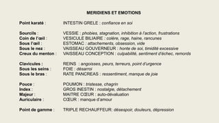 MERIDIENS ET EMOTIONS
Point karaté : INTESTIN GRELE : confiance en soi
Sourcils : VESSIE : phobies, stagnation, inhibition à l’action, frustrations
Coin de l’œil : VESICULE BILIAIRE : colère, rage, haine, rancunes
Sous l’œil : ESTOMAC : attachements, obsession, vide
Sous le nez : VAISSEAU GOUVERNEUR : honte de soi, timidité excessive
Creux du menton : VAISSEAU CONCEPTION : culpabilité, sentiment d’échec, remords
Clavicules : REINS : angoisses, peurs, terreurs, point d’urgence
Sous les seins : FOIE : désarroi
Sous le bras : RATE PANCREAS : ressentiment, manque de joie
Pouce : POUMON : tristesse, chagrin
Index : GROS INESTIN : nostalgie, détachement
Majeur : MAITRE CŒUR : auto-dévaluation
Auriculaire : CŒUR : manque d’amour
Point de gamme : TRIPLE RECHAUFFEUR: désespoir, douleurs, dépression
 