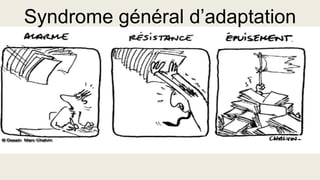 Syndrome général d’adaptation
 
