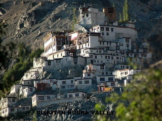 DISKIT IN NUBRA VALLEY 