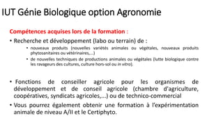 IUT Génie Biologique option Agronomie
Compétences acquises lors de la formation :
• Recherche et développement (labo ou terrain) de :
• nouveaux produits (nouvelles variétés animales ou végétales, nouveaux produits
phytosanitaires ou vétérinaires,...)
• de nouvelles techniques de productions animales ou végétales (lutte biologique contre
les ravageurs des cultures, culture hors-sol ou in vitro).
• Fonctions de conseiller agricole pour les organismes de
développement et de conseil agricole (chambre d'agriculture,
coopératives, syndicats agricoles,...) ou de technico-commercial
• Vous pourrez également obtenir une formation à l’expérimentation
animale de niveau A/II et le Certiphyto.
 