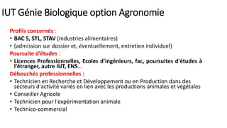 IUT Génie Biologique option Agronomie
Profils concernés :
• BAC S, STL, STAV (Industries alimentaires)
• (admission sur dossier et, éventuellement, entretien individuel)
Poursuite d’études :
• Licences Professionnelles, Ecoles d’ingénieurs, fac, poursuites d'études à
l'étranger, autre IUT, ENS...
Débouchés professionnelles :
• Technicien en Recherche et Développement ou en Production dans des
secteurs d'activité variés en lien avec les productions animales et végétales
• Conseiller Agricole
• Technicien pour l'expérimentation animale
• Technico-commercial
 