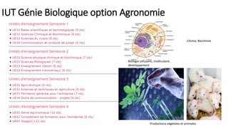 IUT Génie Biologique option Agronomie
Biologie cellulaire, moléculaire,
développement
Chimie, Biochimie
Productions végétales et animales
 