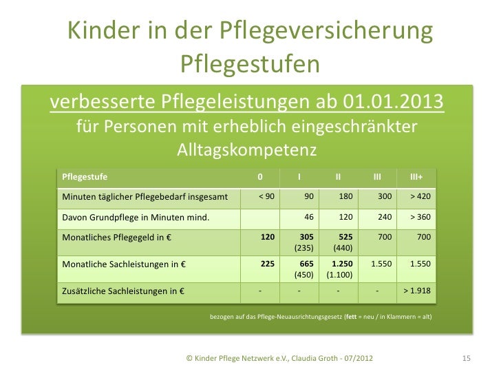 Kinder in der Pflegeversicherung - Was Jugendämter wissen sollten