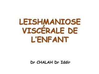 LEISHMANIOSE
 VISCÉRALE DE
   L’ENFANT

  Dr CHALAH Dr Iddir
 
