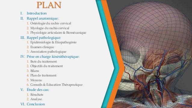 La Prise En Charge Kinesitherapique Du Torticolis Congenital Du Nourr