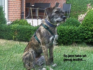 So jetzt habe ich genug erzählt….