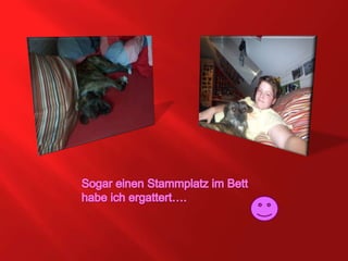 Sogar einen Stammplatz im Bett habe ich ergattert…. 