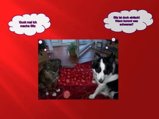 Sitz ist doch einfach! Wann kommt was schweres?Guck mal ich mache Sitz