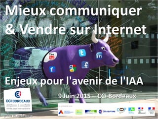 Mieux communiquer
& Vendre sur Internet
Enjeux pour l'avenir de l'IAA
9 Juin 2015 – CCI Bordeaux
 