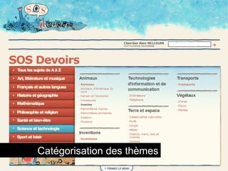 Catégorisation des thèmes 