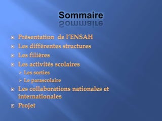 SommairePrésentation  de l’ENSAHLes différentes structuresLes filières Les activités scolairesLes sorties 
