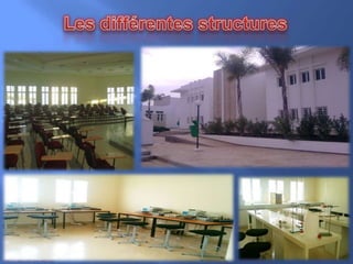 Les différentes structures 