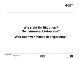 Folie 59 
gefördert durch: 
Wie sieht Ihr Bildungs-/ 
Gemeinwesenbiotop aus? 
Was oder wer macht es artgerecht? 
 