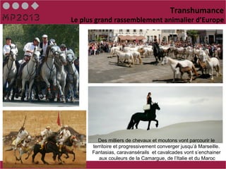 Transhumance	
  
Le	
  plus	
  grand	
  rassemblement	
  animalier	
  d’Europe	
  




           Des milliers de chevaux et moutons vont parcourir le
         territoire et progressivement converger jusqu’à Marseille.
         Fantasias, caravansérails et cavalcades vont s’enchainer
            aux couleurs de la Camargue, de l’Italie et du Maroc
 