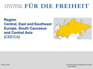 Region Central, East and   Southeast  Europe, South Caucasus  and Central Asia  ( CEE / CA ) 