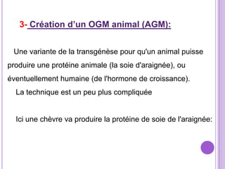 3- Création d’un OGM animal (AGM):


 Une variante de la transgénèse pour qu'un animal puisse
produire une protéine animale (la soie d'araignée), ou
éventuellement humaine (de l'hormone de croissance).
  La technique est un peu plus compliquée


  Ici une chèvre va produire la protéine de soie de l'araignée:
 
