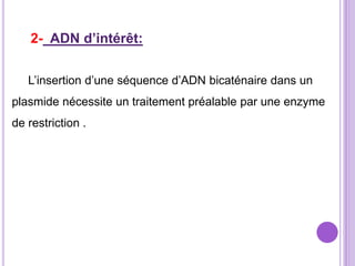 2- ADN d’intérêt:


   L’insertion d’une séquence d’ADN bicaténaire dans un
plasmide nécessite un traitement préalable par une enzyme
de restriction .
 