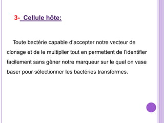 3- Cellule hôte:


  Toute bactérie capable d’accepter notre vecteur de
clonage et de le multiplier tout en permettent de l’identifier
facilement sans gêner notre marqueur sur le quel on vase
baser pour sélectionner les bactéries transformes.
 
