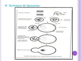  Technique de liposomes:
 