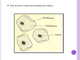  Tous les êtres vivants sont constitués de cellules.
 