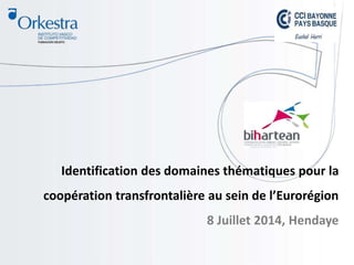 Identification des domaines thématiques pour la
coopération transfrontalière au sein de l’Eurorégion
8 Juillet 2014, Hendaye
 