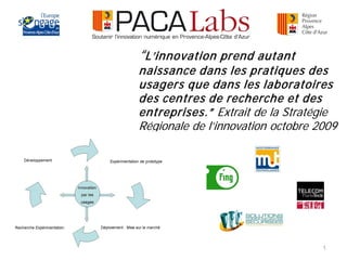 “L’innovation prend autant
naissance dans les pratiques des
usagers que dans les laboratoires
des centres de recherche et des
entreprises.” Extrait de la Stratégie
Régionale de l’innovation octobre 2009




                                   1
 