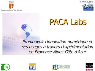 PACA Labs PACA Labs Promouvoir l’innovation numérique et ses usages à travers l’expérimentation en Provence-Alpes-Côte d’Azur 